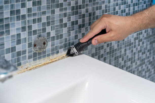 Best Toxic Mold Removal  in Forestville, CA